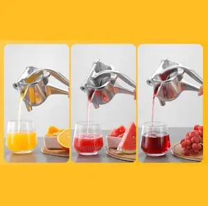 Fruit Juicer