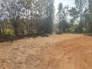 1/2 Acre Sagana/Nairobi Main Tarmac