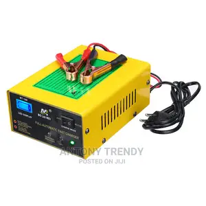 Quick Boost Electric Car 200ah Dc 12v/24 10A Battery Charger