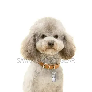 Waterproof Pet Dog Cat Name ID Tag Capsule