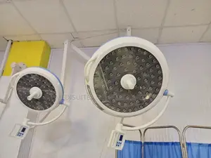 Double Arm Ceiling Mount Theatre Light