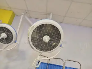 Double Arm Ceiling Mount Theatre Light