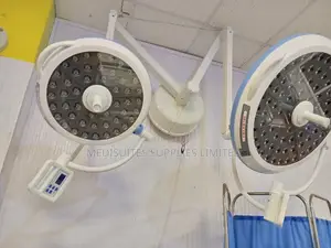Double Arm Ceiling Mount Theatre Light