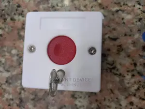 Panic Button! Security Systems!