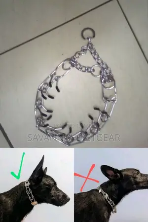 Dog Training Pinch Collar