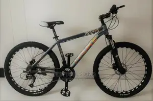 Adult Bicycle Black Size 24
