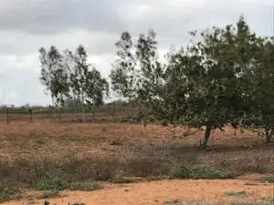 10 Acres Baolala Malindi