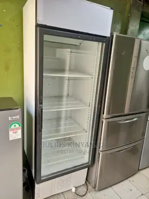 Display 600l Fridge