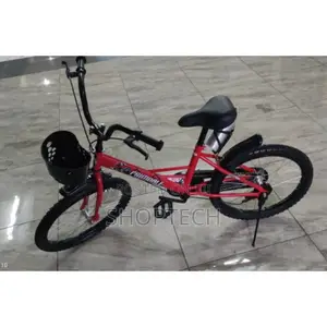 20 Inches Sized Kids Bicycle.