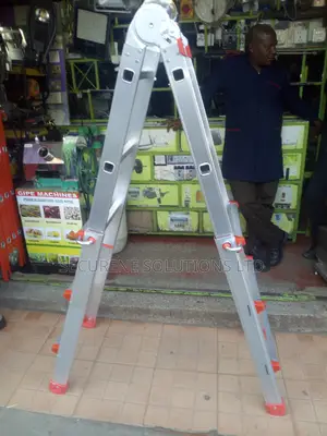 4*3 Multi Purpose Little Giant Ladder