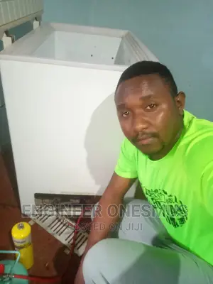 Fridge Repair ( Samsung, LG, Ramtons ) Professional Technician