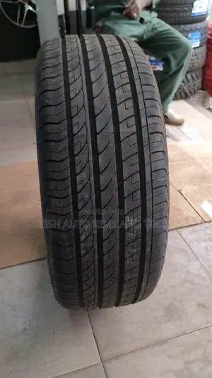 245/45r19 Duran