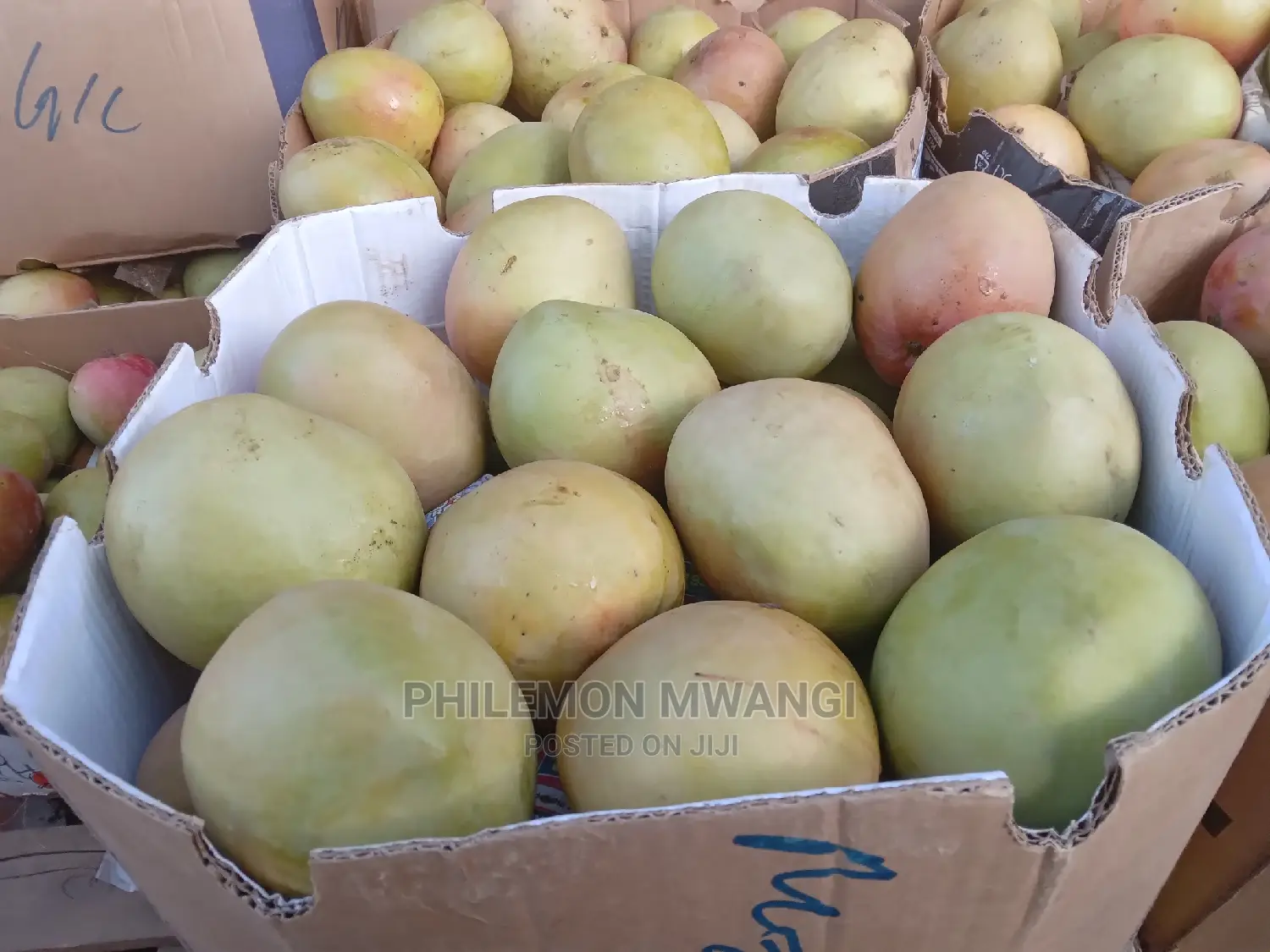Fresh Apple Mangoe