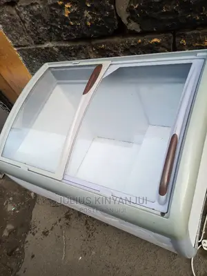 Deep Freezer 300l