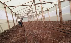 Wooden Greenhouse 6 X 30m.