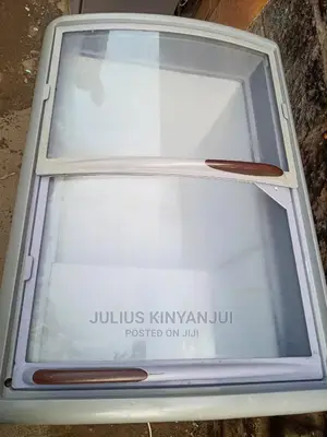 Deep Freezer 300l
