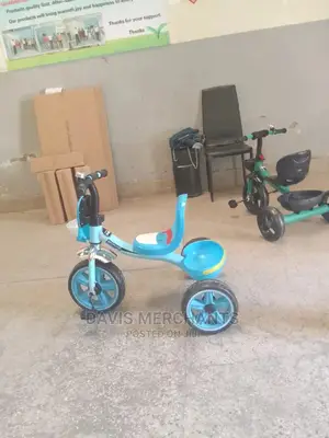 Tricycle Baby Bike