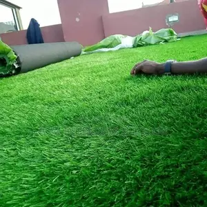 Grass Carpet Grass Carpet Grass Carpet Grass Carpet Grass