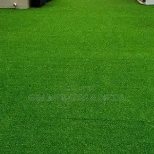 Grass Carpet Grass Carpet Grass Carpet Grass Carpet Grass