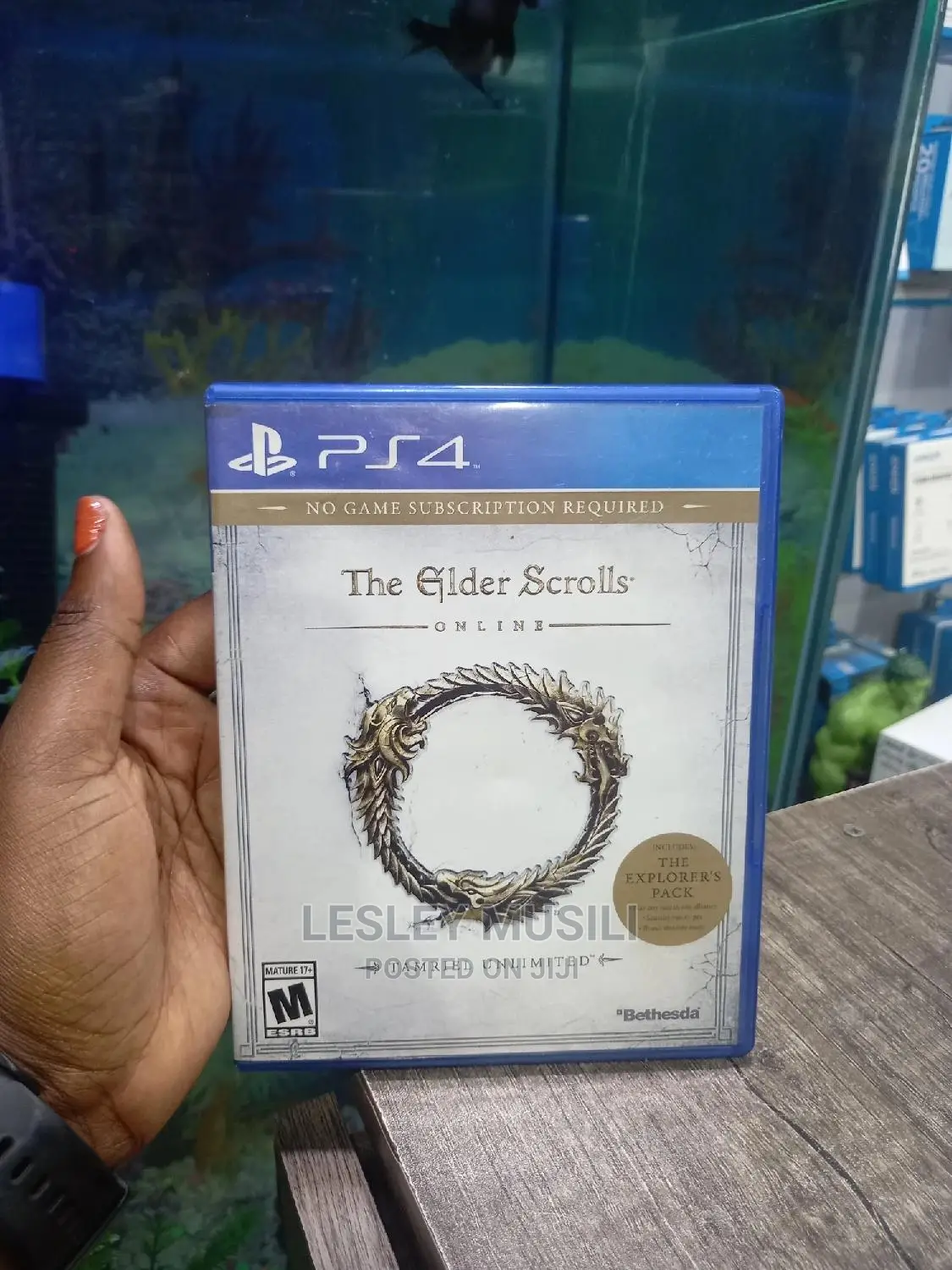 Ps4 the Elder Scrolls