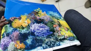 Acquarium Backgrounds