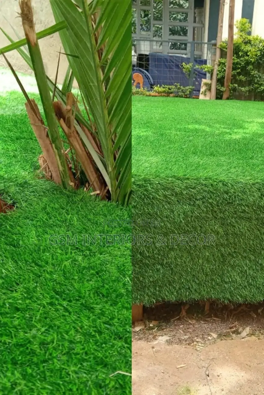 Grass Carpet Grass Carpet Grass Carpet Grass Carpet Grass