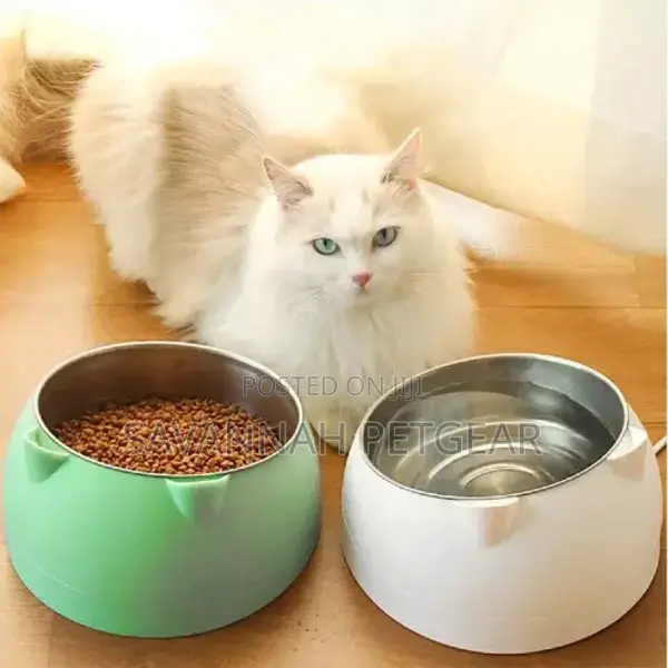 Romeow Tilted Stainless Steel Dog Cat Bowl