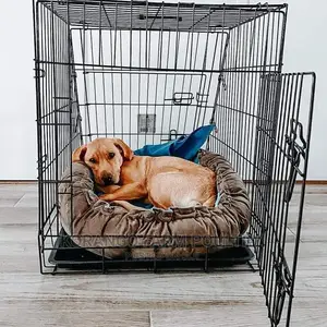 2 Years Pet Crates