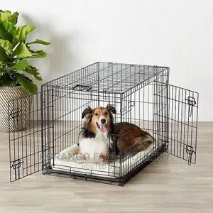 6 Months Puppies Crates