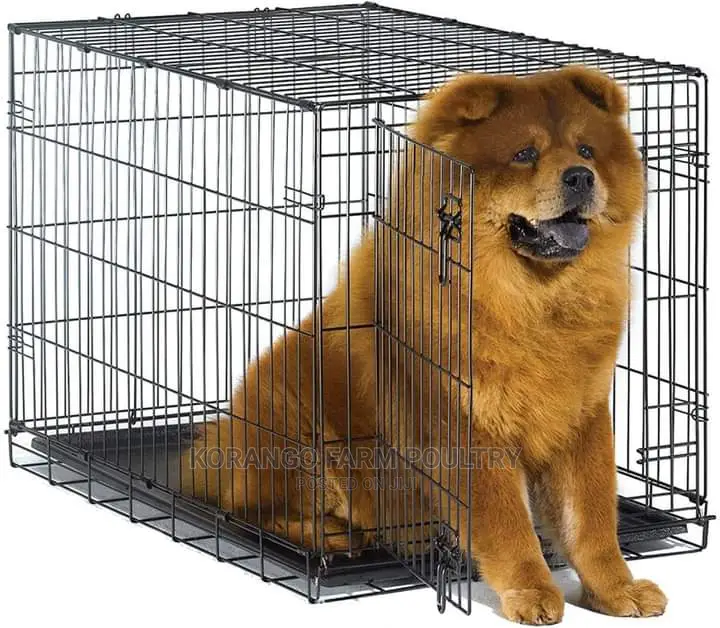 Large Size Pets Cages