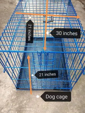 Cats, Rabbit, Puppies Crates