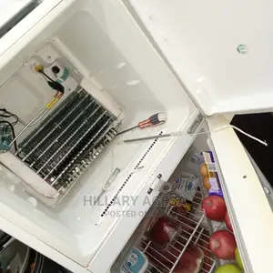 Fridge Repair Services