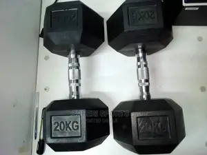 Dumbbells 20kg Hexagon Gym Dumbbells