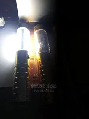 Club Bottle Lights