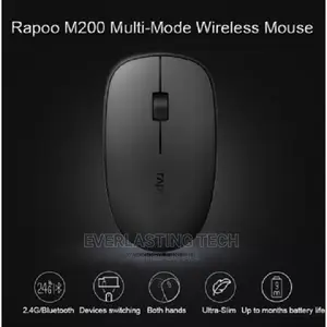 Rapoo Silent Wireless Mouse M200