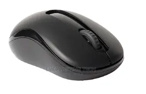 Rapoo Wireless Optical Mouse M10