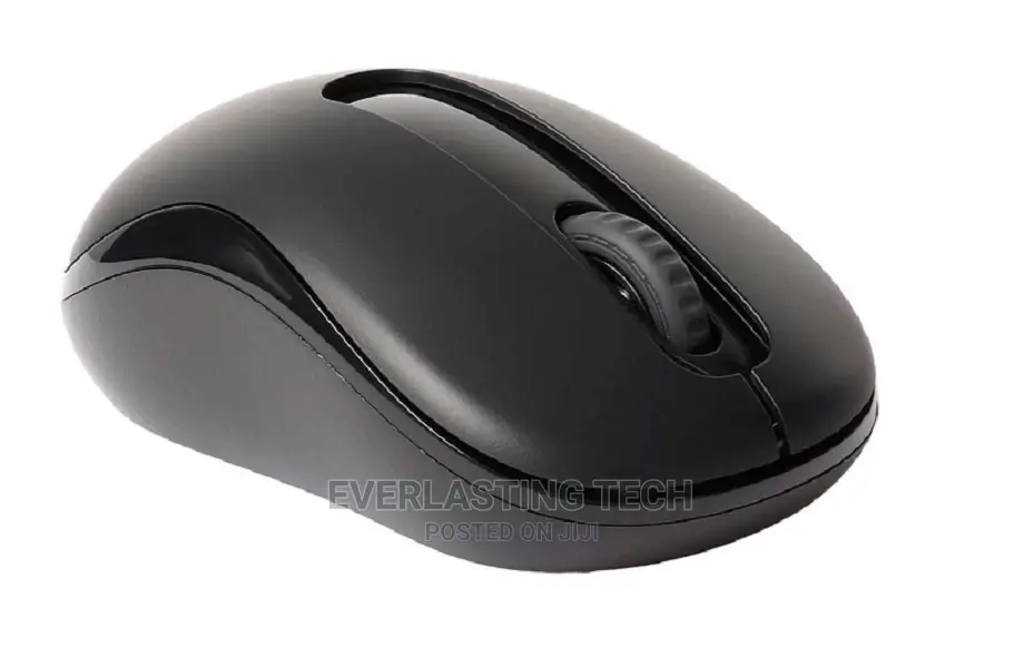 Rapoo Wireless Optical Mouse M10
