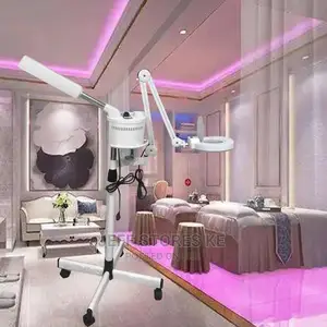 Professional 2 in 1 Beauty Facial Steamer