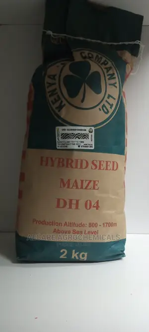 Hybrid Maize Seed Dh04 2kgs