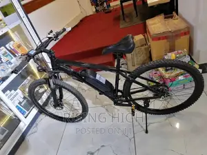 Durable Prestigious Best Quality Electric Rechargeable Bikes