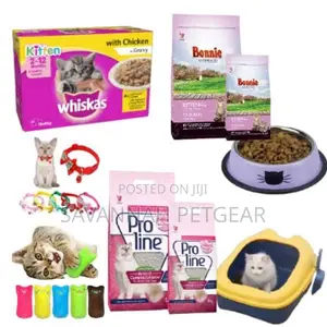 Kitten Essentials Starter Bundle
