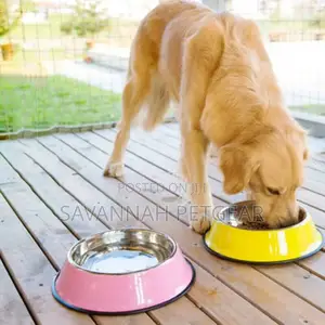 Extra Large XL Dog Food and Water Bowl