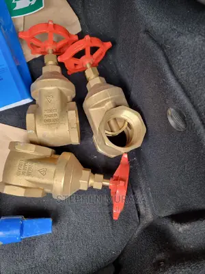Gate Valves Pegler 1/2"