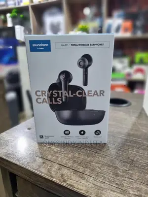 Anker Lifep2 Buds