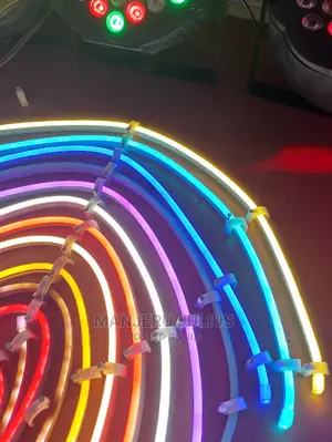 12v/Dc Neon Snake Light