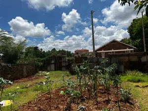 Prime 50 by 100 Fts Commercial Plot for Sale in Kinoo.