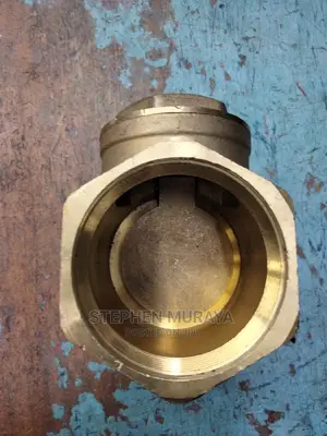 Non Return Valve