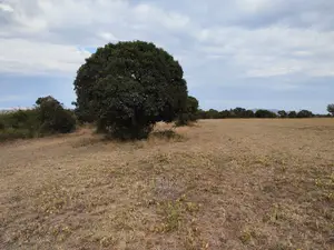Laikipia/Nairutia,Kariguini