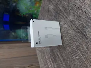 USB C To Lightning Apple Cable