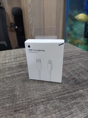 USB C To Lightning Apple Cable
